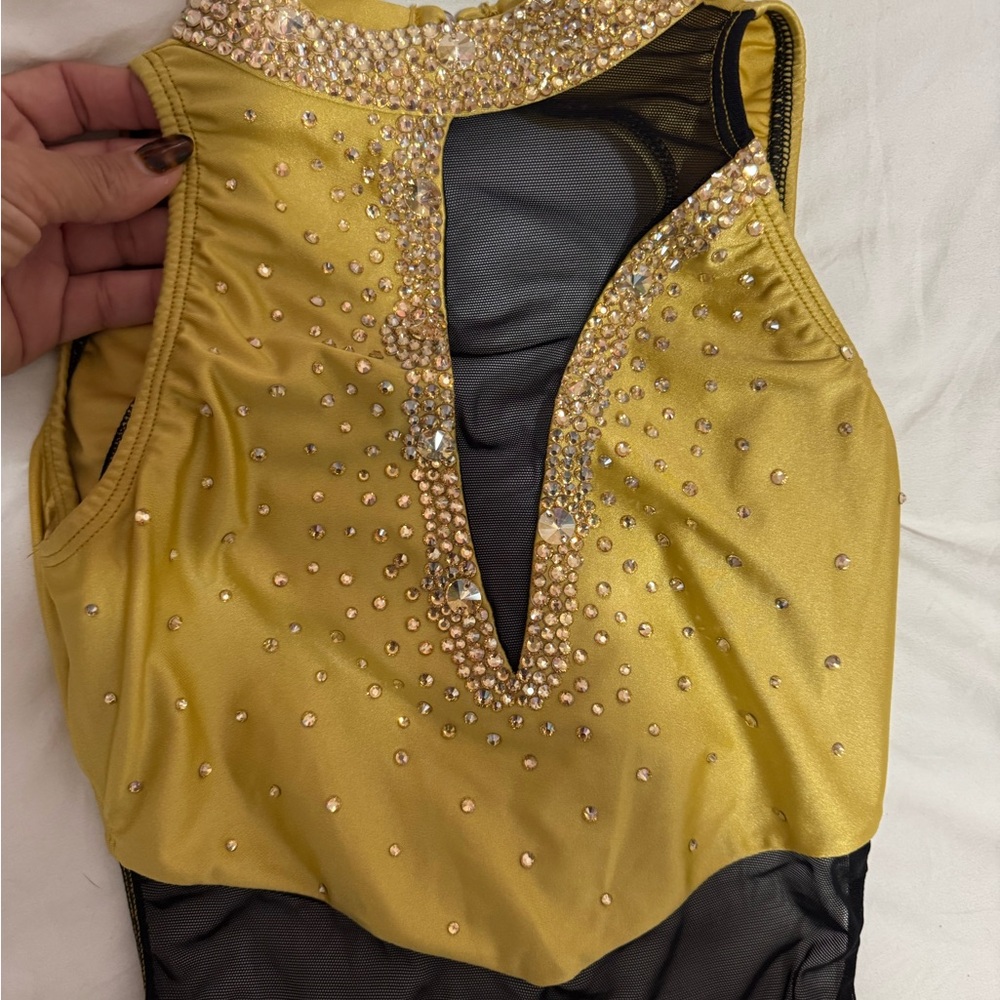 AA Dance costume semi custom leotard